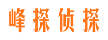 田林市调查公司